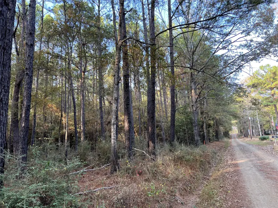 TBD County Rd 2940, Shelbyville, TX 75973 - Image #2