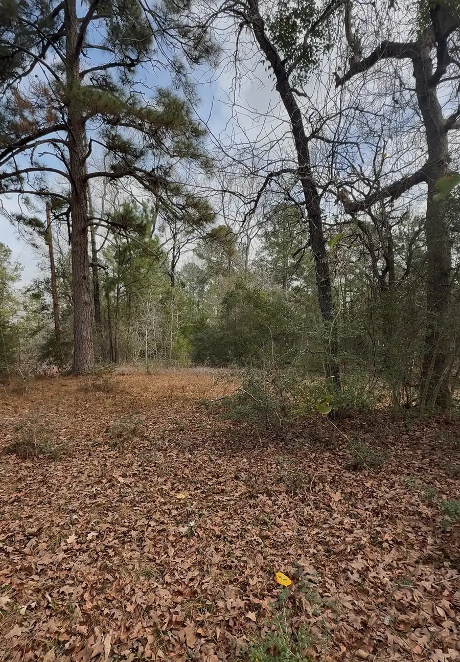 24159 Weeren Road, Montgomery, TX 77316 - #3