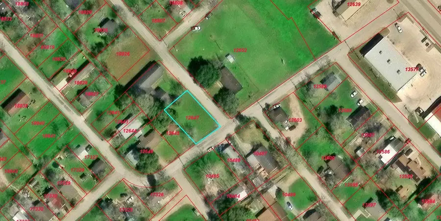 301 Allen Street, Eagle Lake, TX 77434 - #2