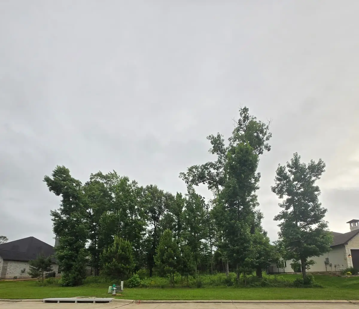 1713 Mission Oaks Court, Conroe, TX 77304 - #1
