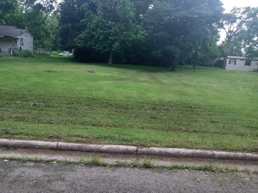 0 Ogletree Street, Livingston, TX 77351 - Image #2