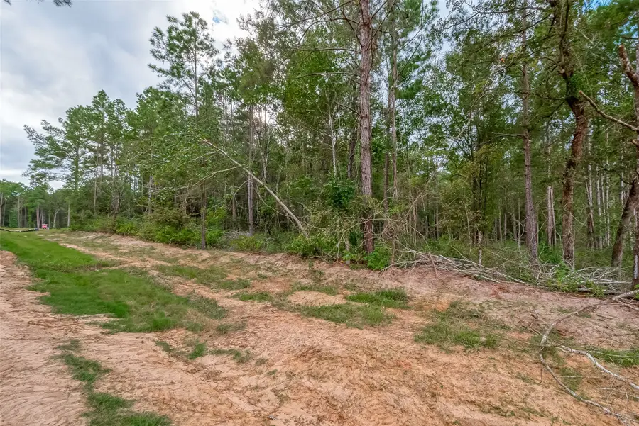 8100 High Meadow Ridge Court, Montgomery, TX 77316 - Image #2