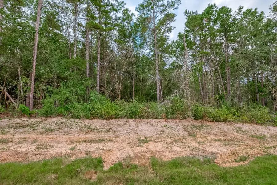 8100 High Meadow Ridge Court, Montgomery, TX 77316 - Image #3