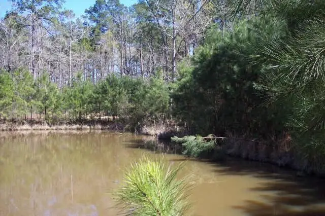 4214 Highland Lakes, Montgomery, TX 77316 - Image #3