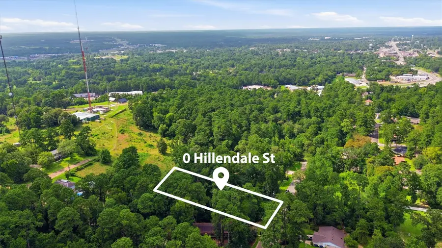 0 Hillendale Drive, Livingston, TX 77351 - #3