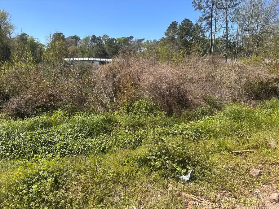 0 Dottie Lane, Shepherd, TX 77371 - #2