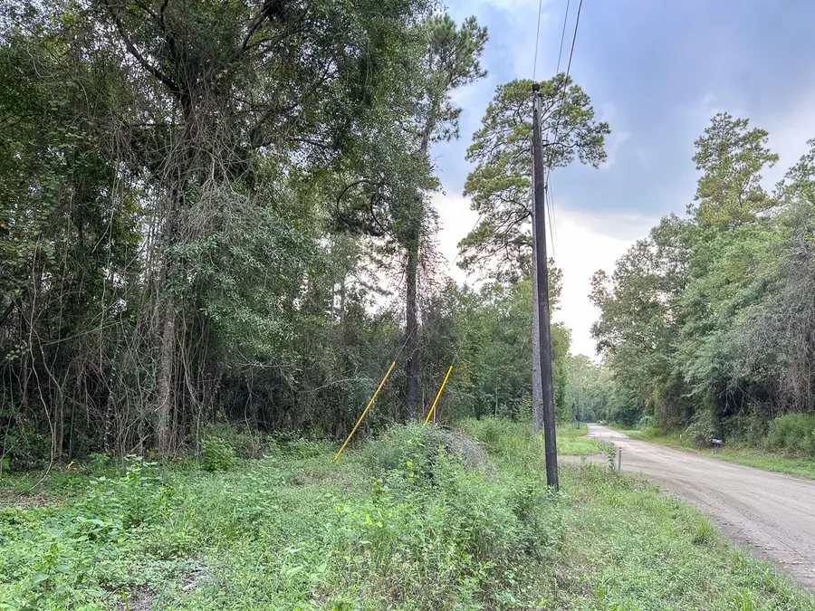 TBD Cr 4700, Fred, TX 77616 - #3