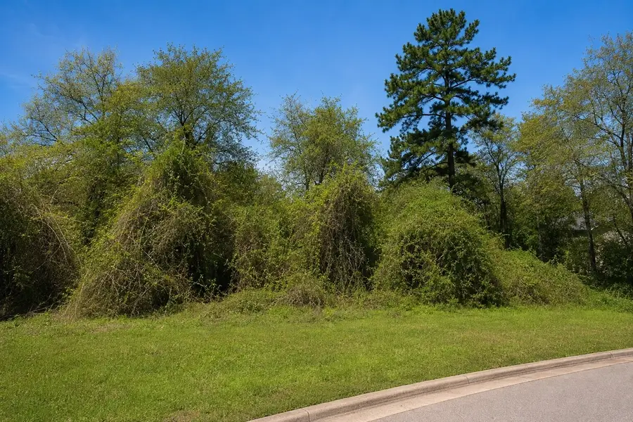 3107 Canterbury Lane, Montgomery, TX 77356 - #2