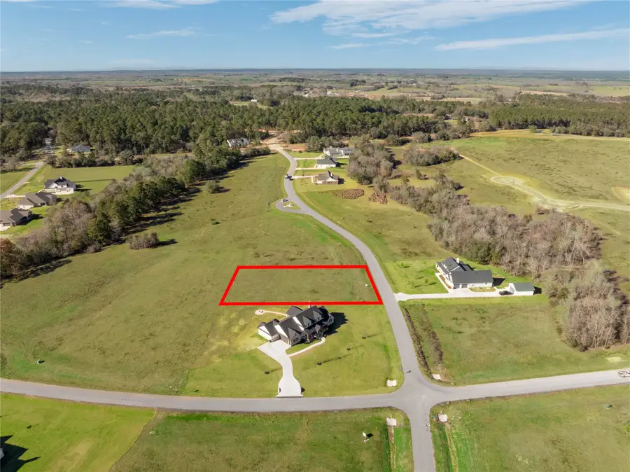 9618 Cedar Creek Lane, Plantersville, TX 77363 - Image #3