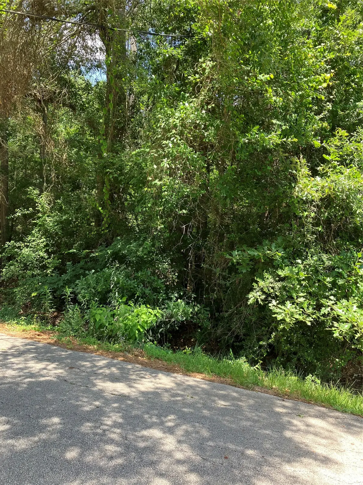 0000 Brentwood Road, Splendora, TX 77372 - #1