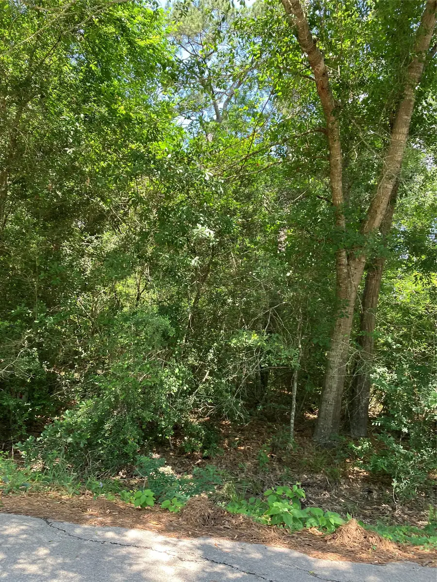 0000 Brentwood Road, Splendora, TX 77372 - #3