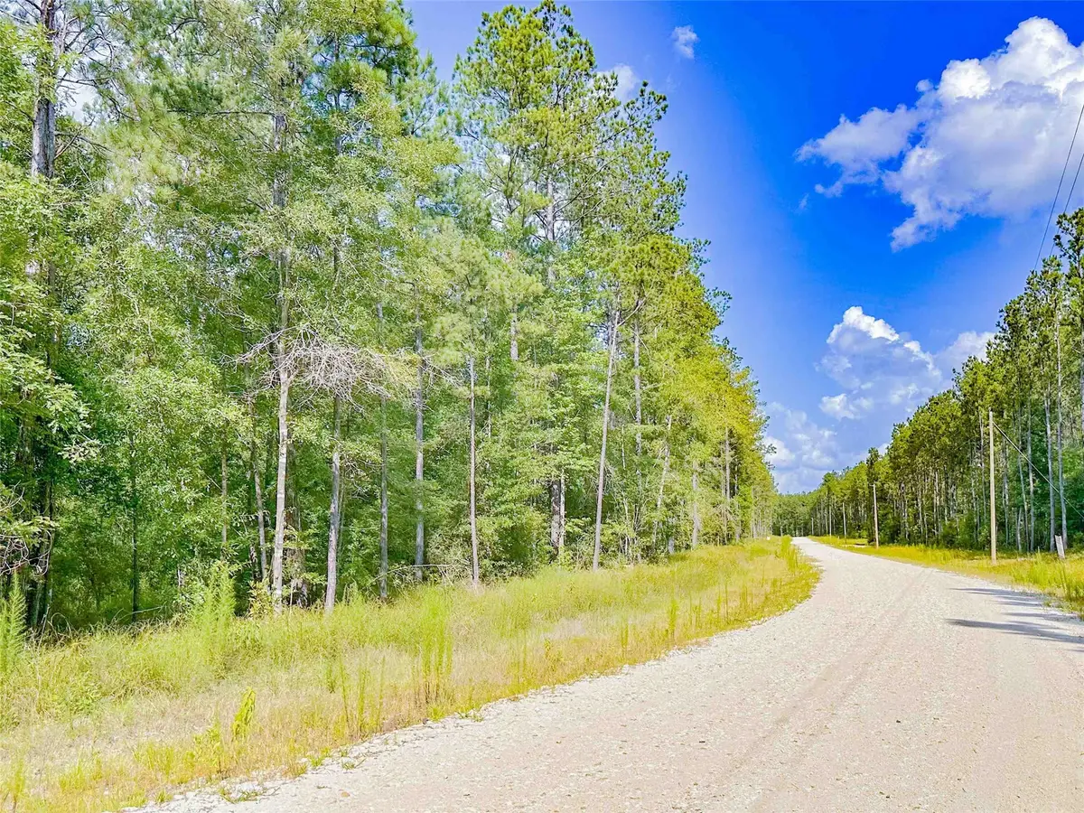 9010 Carter Ranch Road, Kountze, TX 77625 - #1