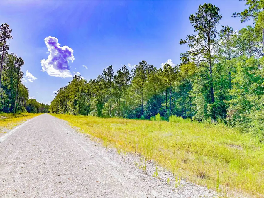 9010 Carter Ranch Road, Kountze, TX 77625 - #2