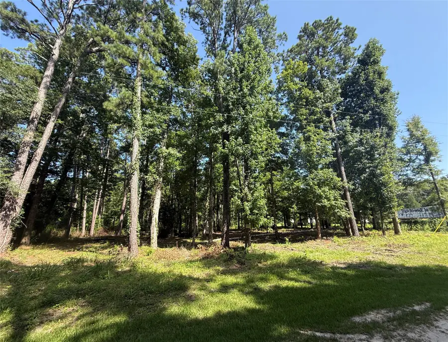 626 Friday, Livingston, TX 77351 - #2