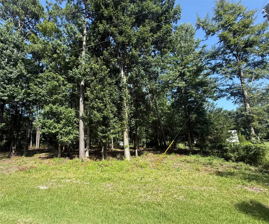 626 Friday, Livingston, TX 77351 - #3