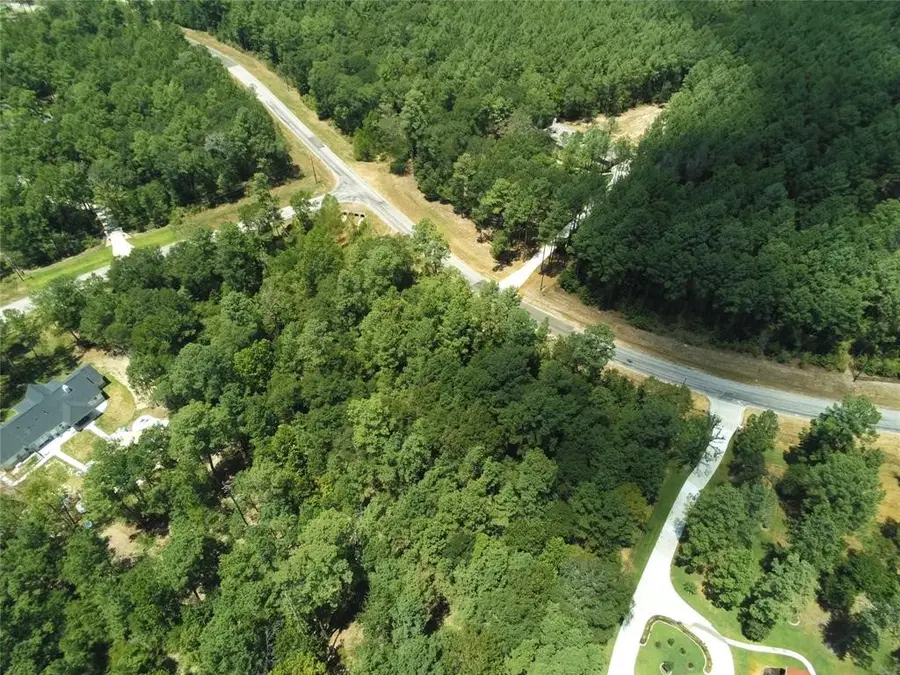 4-11-59 Sundog Road, Huntsville, TX 77340 - Image #3