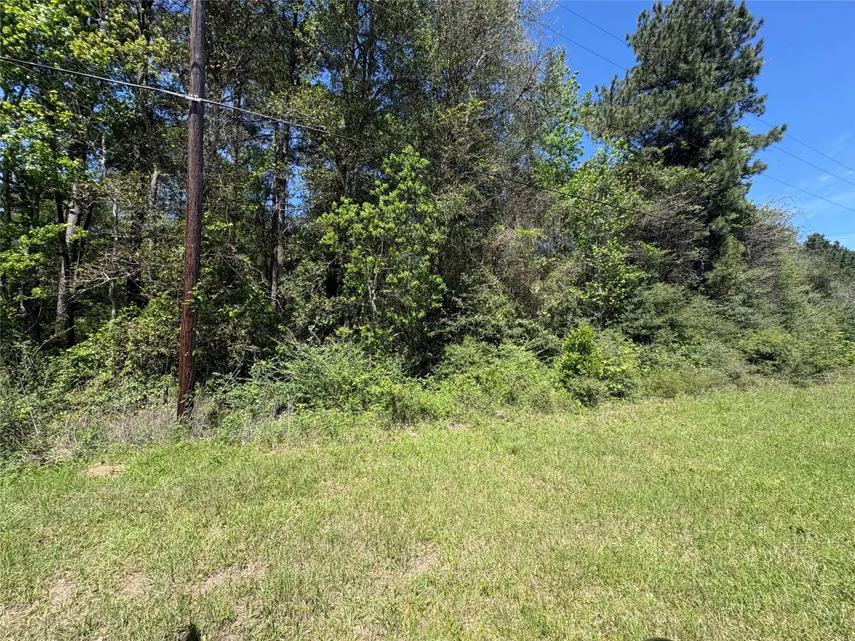 TBD Fm 92 Rd S, Spurger, TX 77660 - #1