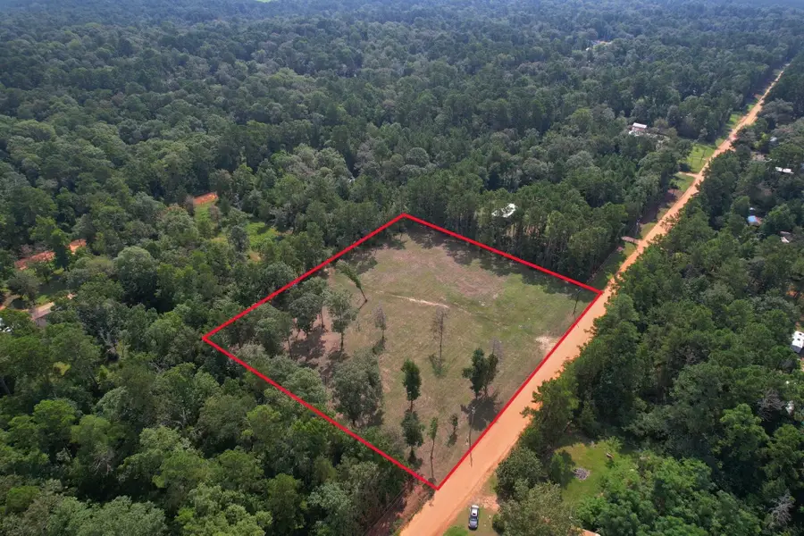 663 The Ole Barney Road, Livingston, TX 77351 - #3