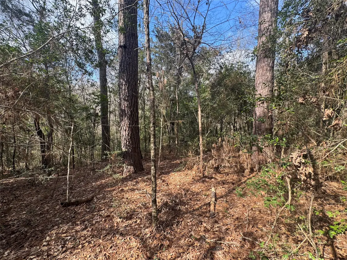 Lot 219 Mallard Drive, Coldspring, TX 77331 - #1