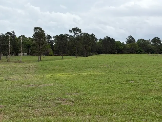 Lot 251 Lakeland Ranch, Hillister, TX 77624 - #2