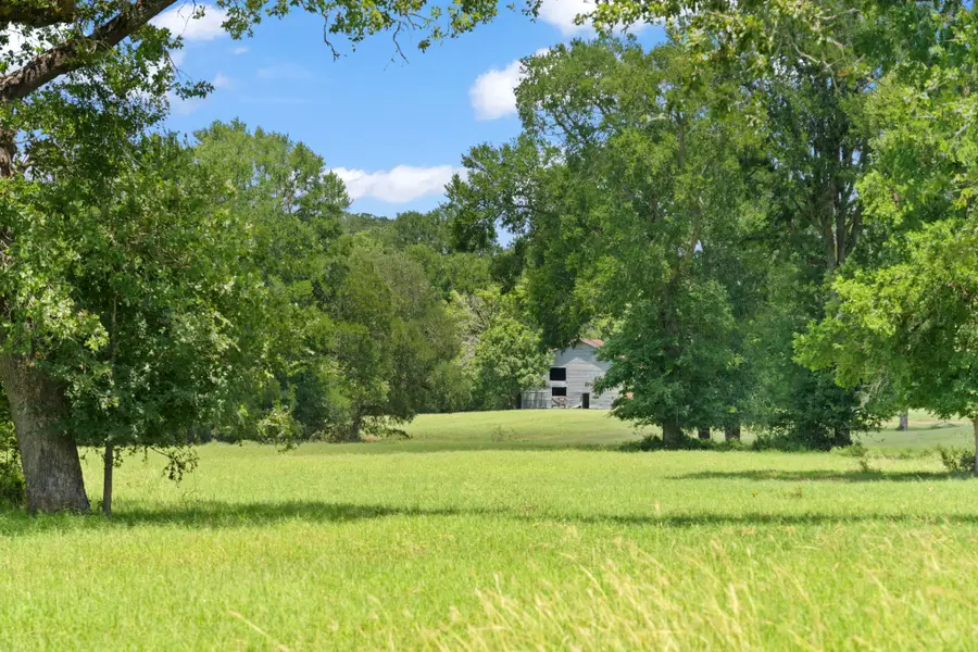 1010 St Delight Road, Paige, TX 78659 - #2