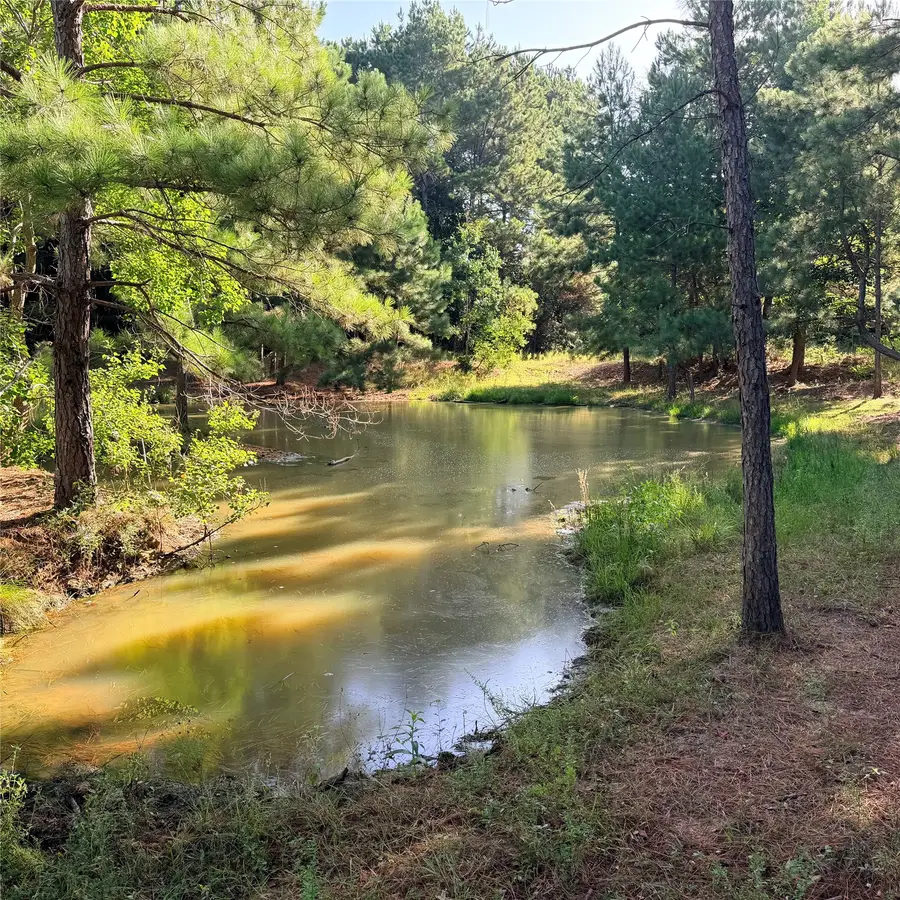 TBD Fm 943 E, Livingston, TX 77351 - #2