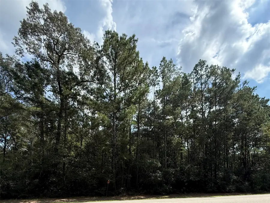 17337 Northcrest Circle, New Caney, TX 77357 - #2