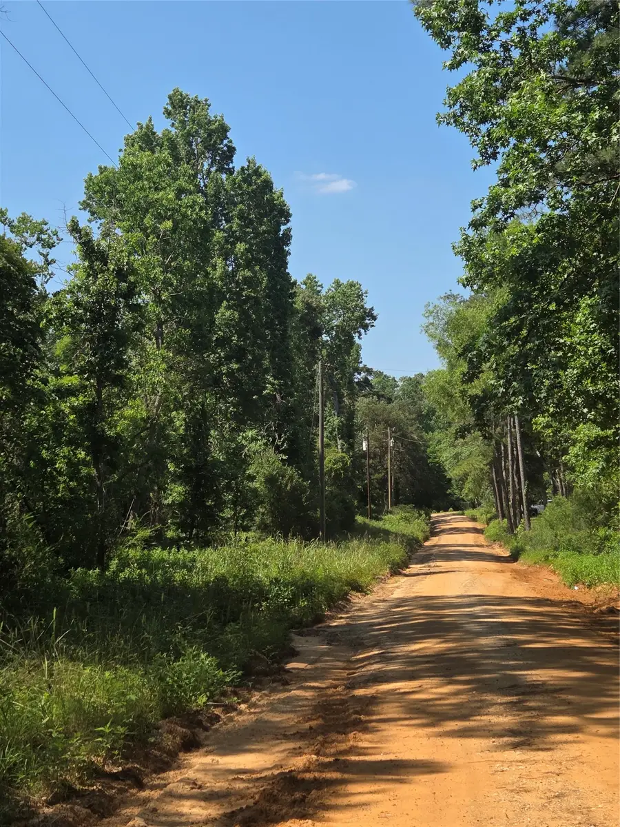 0 Stacy Jobe Road, Livingston, TX 77351 - #2