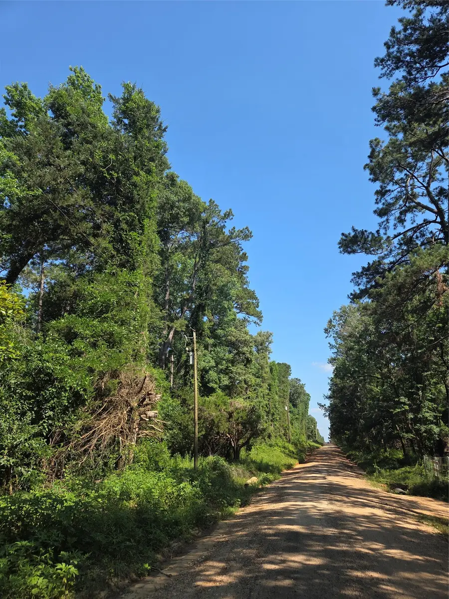 0 Stacy Jobe Road, Livingston, TX 77351 - #3