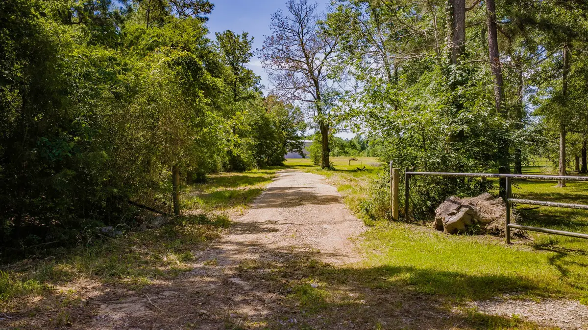 TBD Fm 2457, Livingston, TX 77351 - #1