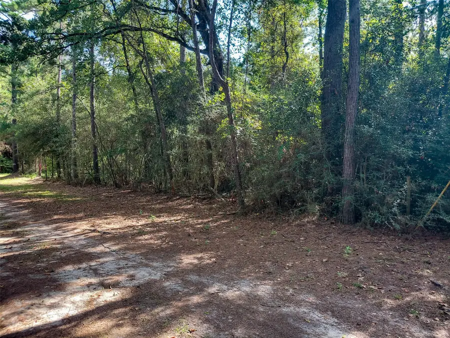 230 Private Road 8305, Woodville, TX 75979 - #2