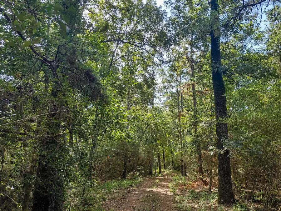 230 Private Road 8305, Woodville, TX 75979 - #3