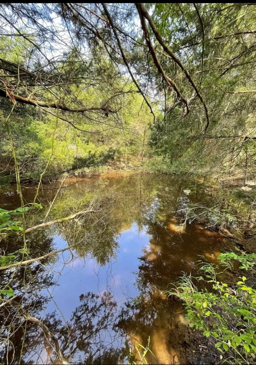 1329 Pr 3491, Jewett, TX 75846 - Image #2