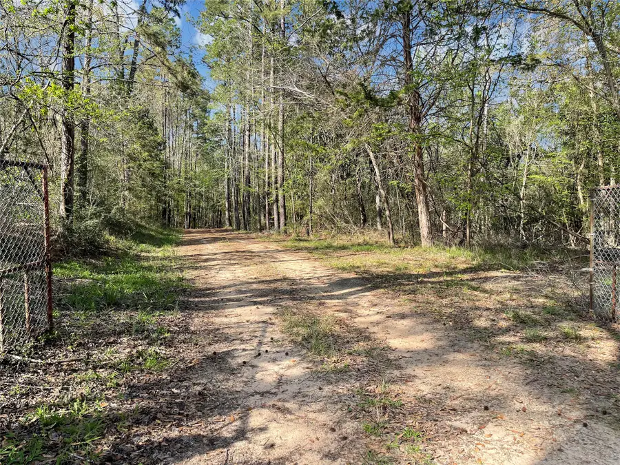 5129 County Road 425, Jasper, TX 75951 - #2