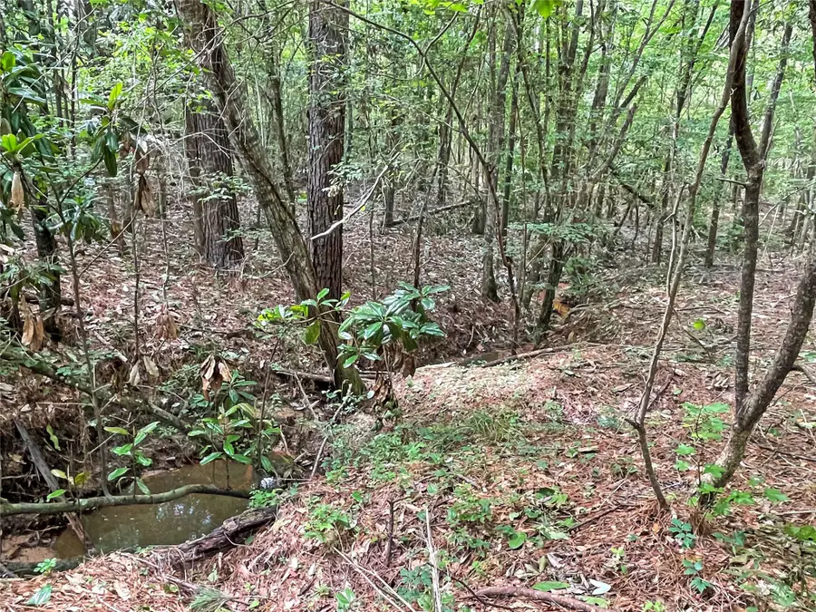 5129 County Road 425, Jasper, TX 75951 - #3