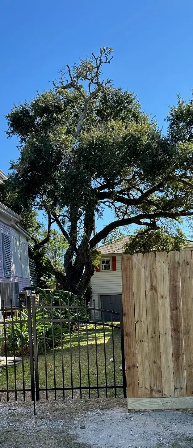 1009 Sealy Street, Galveston, TX 77550 - #2