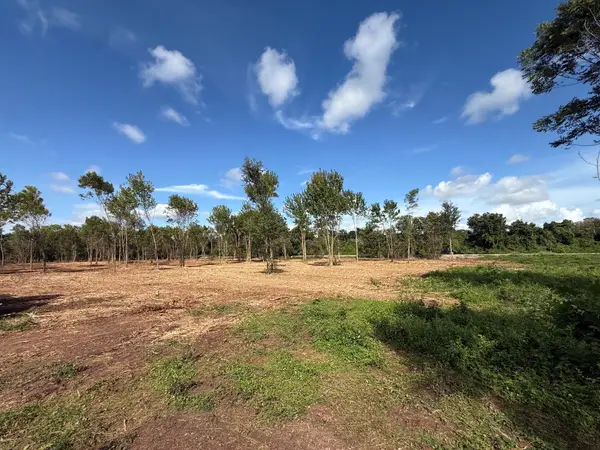 3114 County Road 30, Angleton, TX 77515