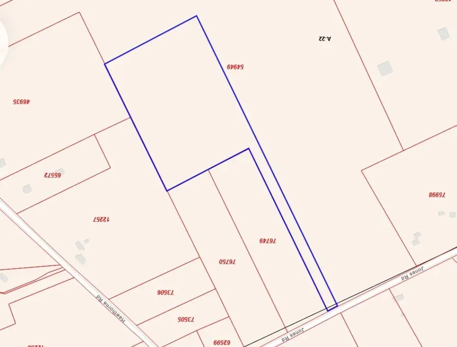 TBD Jones Road, New Waverly, TX 77358 - Image #2