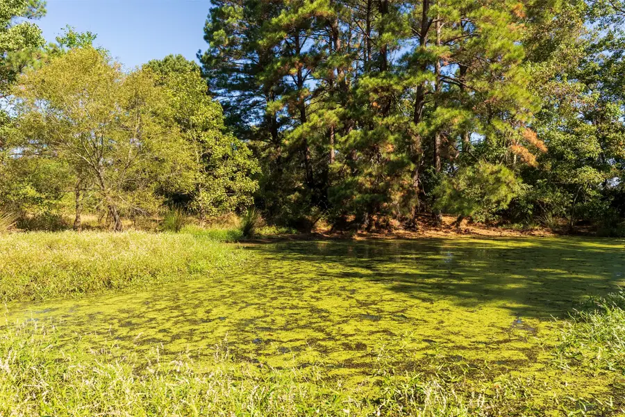 419 Marshall Ivy Road, Huntington, TX 75949 - #3
