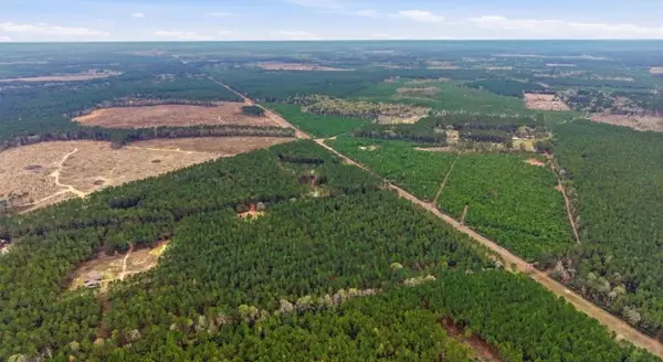 1208 Holly Grove Road, Livingston, TX 77351