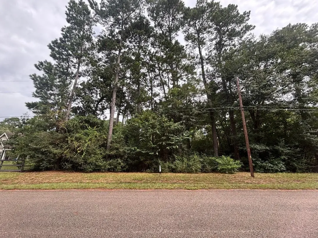 Lot 126 Fantail Street, Magnolia, TX 77355 - #1