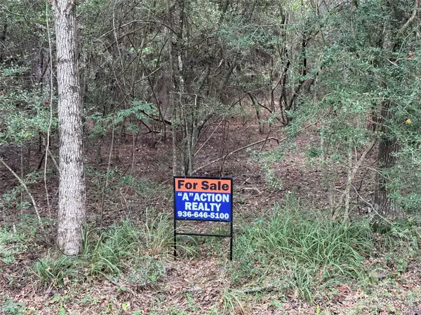 TBD Mockingbird Hills, Livingston, TX 77351