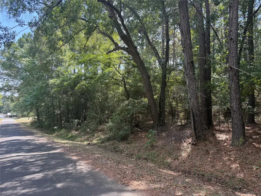 TBD Mockingbird Hills, Livingston, TX 77351 - #2