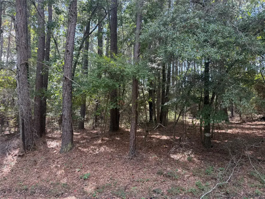 TBD Mockingbird Hills, Livingston, TX 77351 - #3