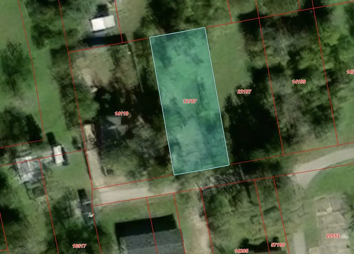 328 Austin Street, Sealy, TX 77474 - #1