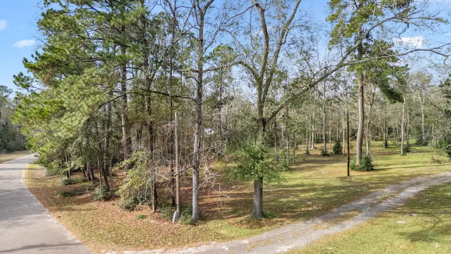 10825 Rose Royal Drive, Conroe, TX 77303 - Image #2