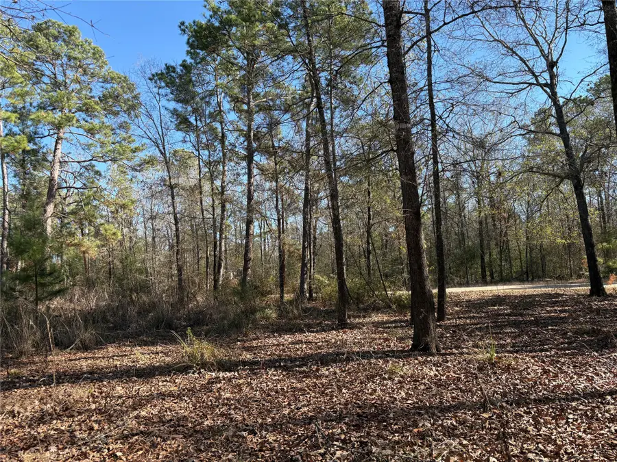 295 Lakecrest, Livingston, TX 77351 - Image #2