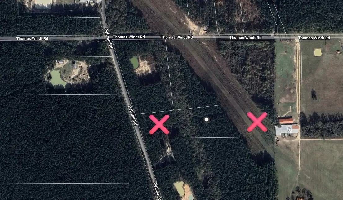 401 Pelican Road, Shepherd, TX 77371 - #1