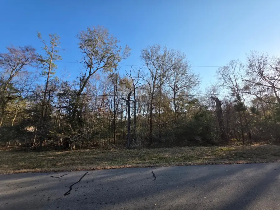 TBD Westward Ho St, Stagecoach, TX 77355 - #2