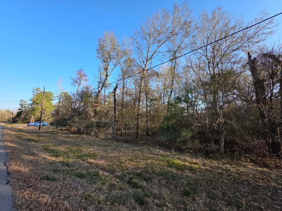 TBD Westward Ho St, Stagecoach, TX 77355 - #3